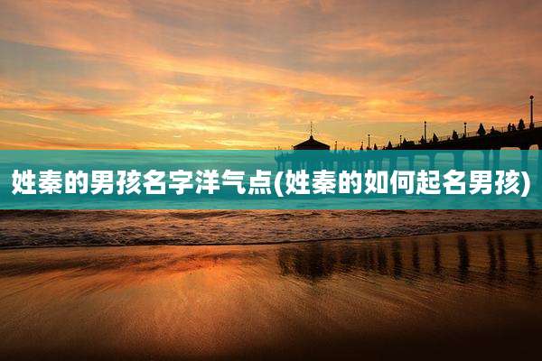 姓秦的男孩名字洋气点(姓秦的如何起名男孩)