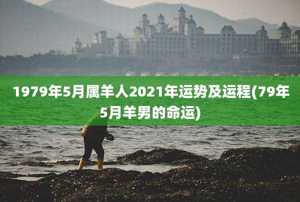 1979年5月属羊人2021年运势及运程(79年5月羊男的命运)