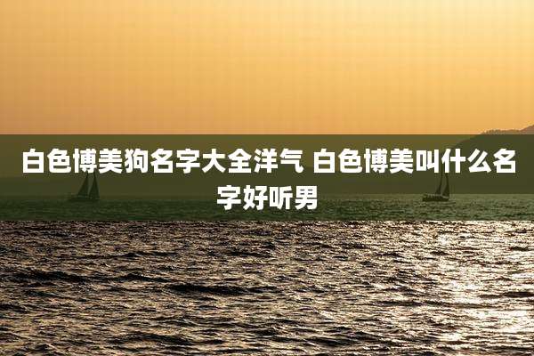 白色博美狗名字大全洋气 白色博美叫什么名字好听男