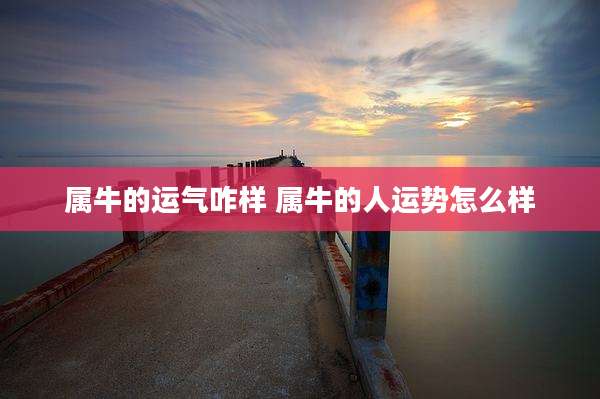 属牛的运气咋样 属牛的人运势怎么样