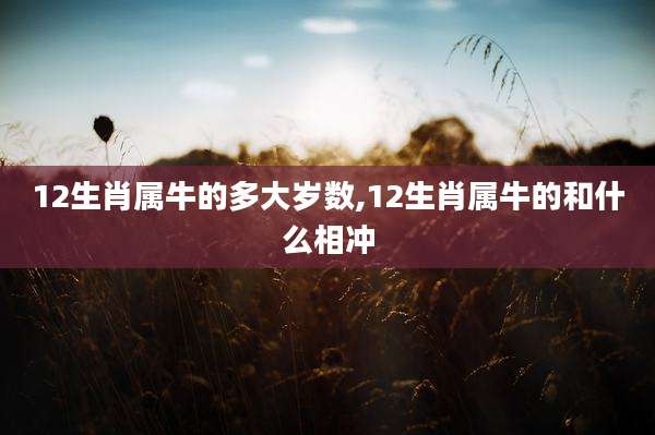 12生肖属牛的多大岁数,12生肖属牛的和什么相冲