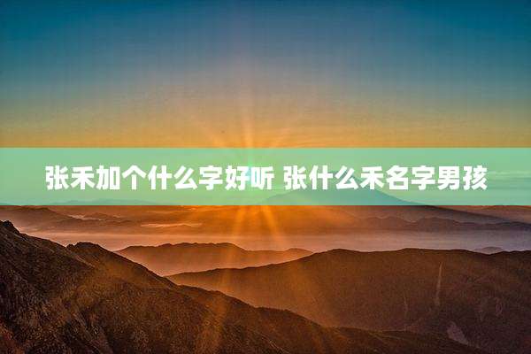 张禾加个什么字好听 张什么禾名字男孩