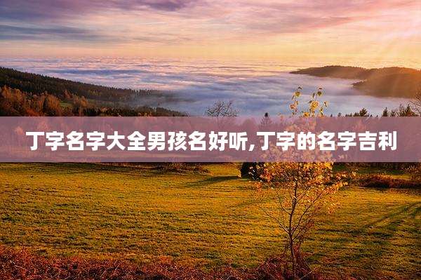 丁字名字大全男孩名好听,丁字的名字吉利