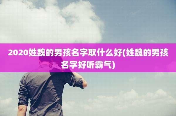 2020姓魏的男孩名字取什么好(姓魏的男孩名字好听霸气)