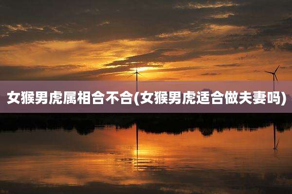 女猴男虎属相合不合(女猴男虎适合做夫妻吗)
