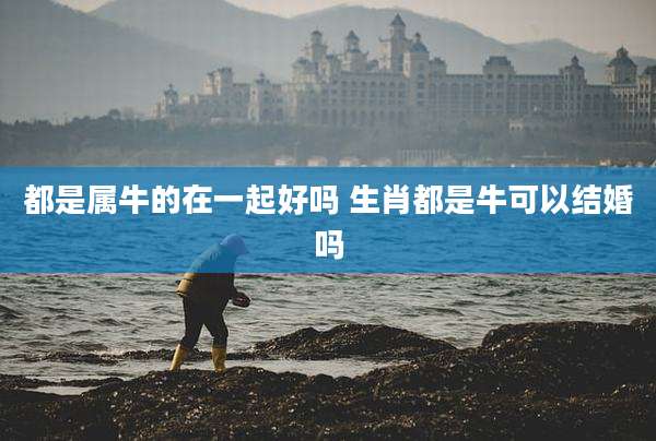 都是属牛的在一起好吗 生肖都是牛可以结婚吗