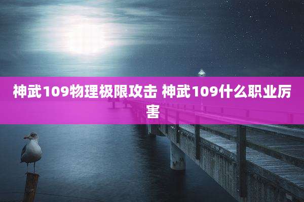 神武109物理极限攻击 神武109什么职业厉害