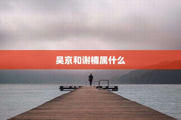 吴京和谢楠属什么