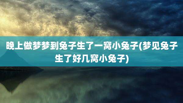晚上做梦梦到兔子生了一窝小兔子(梦见兔子生了好几窝小兔子)