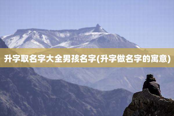 升字取名字大全男孩名字(升字做名字的寓意)