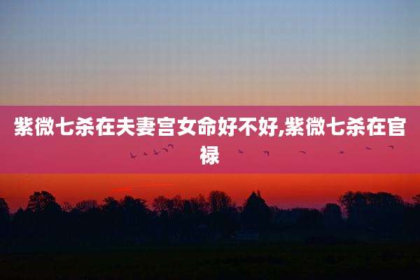 紫微七杀在夫妻宫女命好不好,紫微七杀在官禄