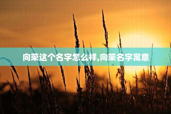 向荣这个名字怎么样,向荣名字寓意