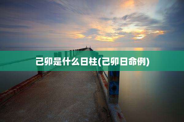 己卯是什么日柱(己卯日命例)