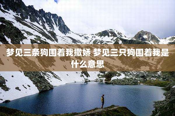 梦见三条狗围着我撒娇 梦见三只狗围着我是什么意思