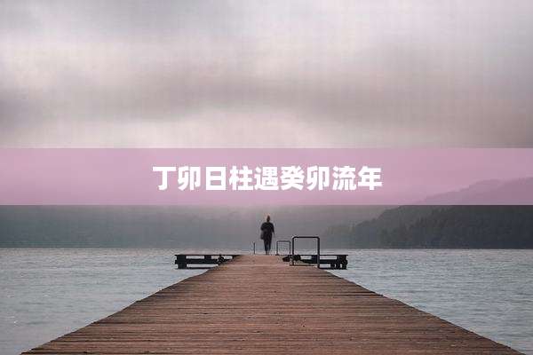 丁卯日柱遇癸卯流年