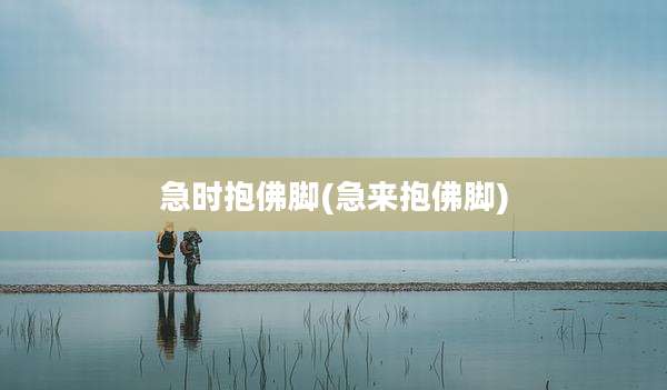 急时抱佛脚(急来抱佛脚)