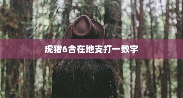虎猪6合在地支打一数字