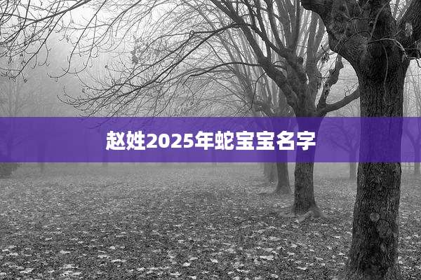 赵姓2025年蛇宝宝名字