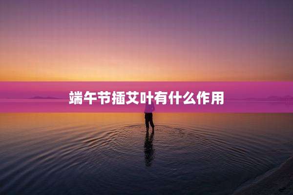 端午节插艾叶有什么作用