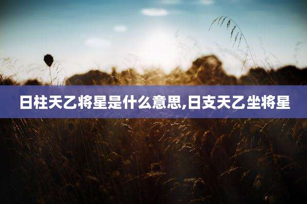 日柱天乙将星是什么意思,日支天乙坐将星