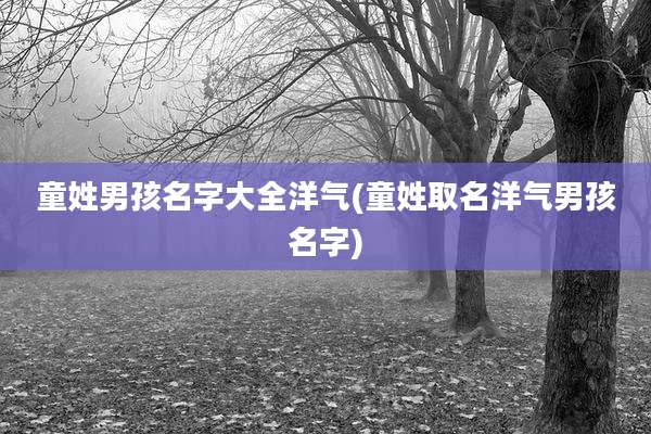 童姓男孩名字大全洋气(童姓取名洋气男孩名字)