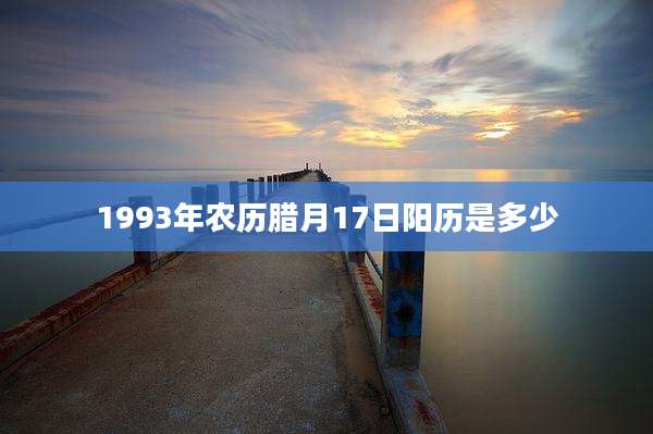 1993年农历腊月17日阳历是多少