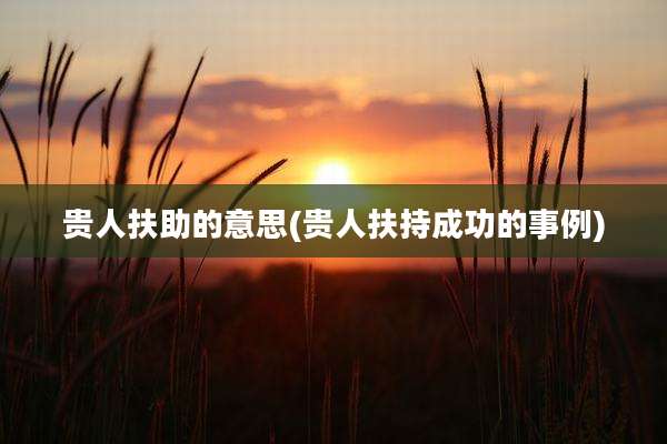 贵人扶助的意思(贵人扶持成功的事例)