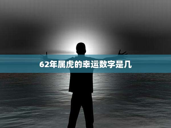 62年属虎的幸运数字是几