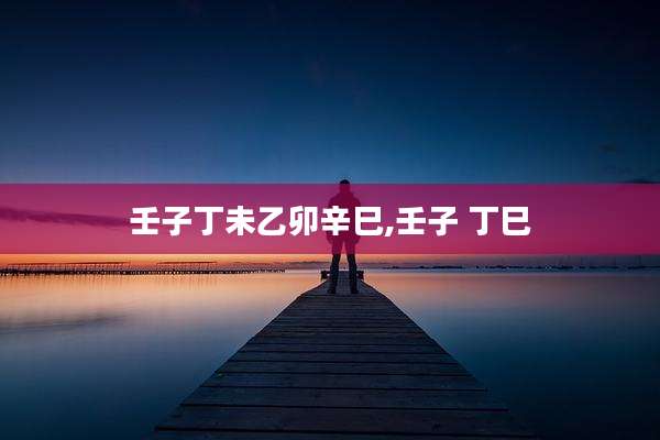 壬子丁未乙卯辛巳,壬子 丁巳