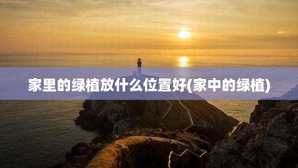 家里的绿植放什么位置好(家中的绿植)