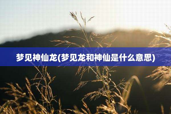 梦见神仙龙(梦见龙和神仙是什么意思)