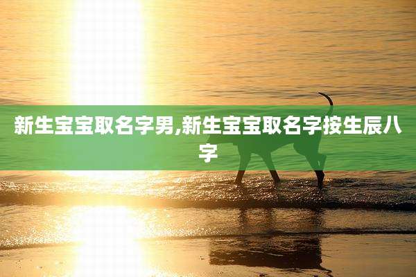 新生宝宝取名字男,新生宝宝取名字按生辰八字