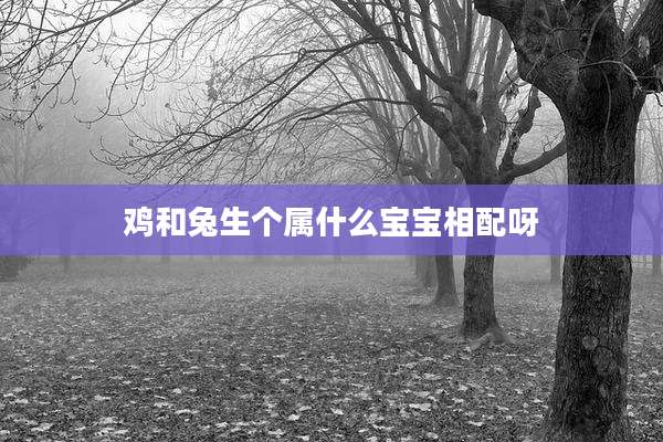 鸡和兔生个属什么宝宝相配呀