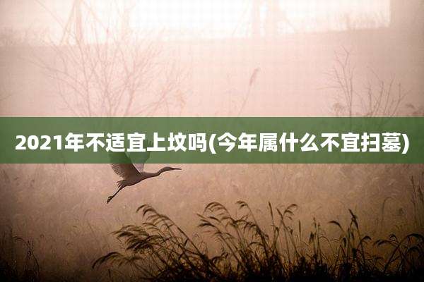 2021年不适宜上坟吗(今年属什么不宜扫墓)