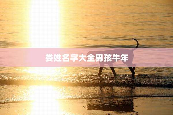 娄姓名字大全男孩牛年