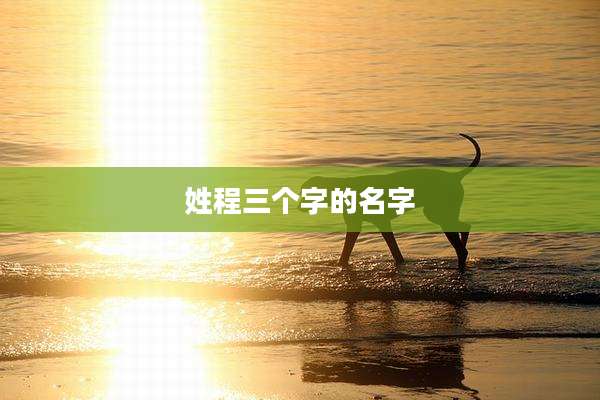 姓程三个字的名字