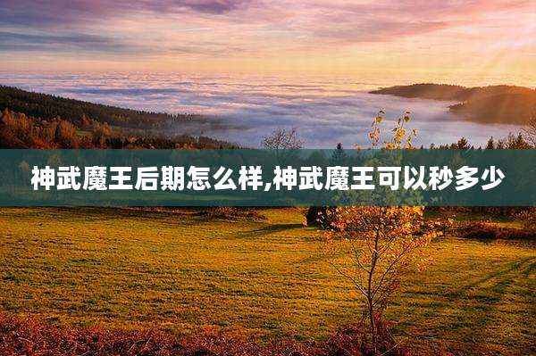 神武魔王后期怎么样,神武魔王可以秒多少