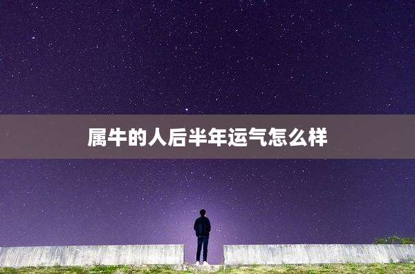 属牛的人后半年运气怎么样