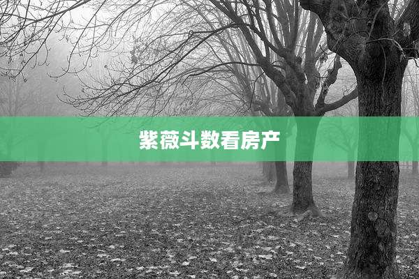 紫薇斗数看房产