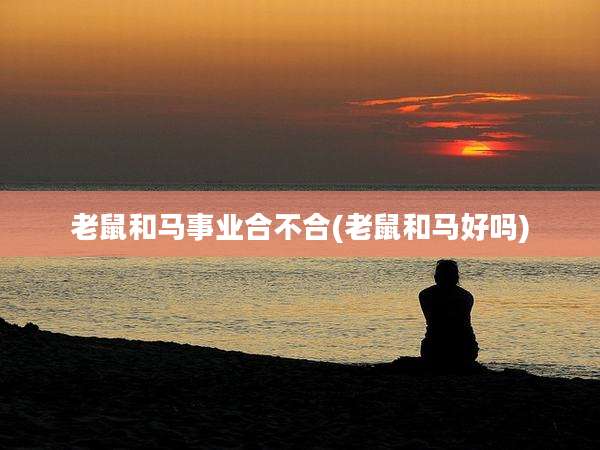 老鼠和马事业合不合(老鼠和马好吗)