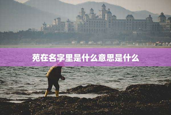 苑在名字里是什么意思是什么