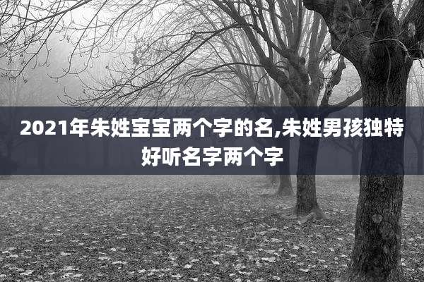 2021年朱姓宝宝两个字的名,朱姓男孩独特好听名字两个字