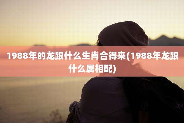 1988年的龙跟什么生肖合得来(1988年龙跟什么属相配)