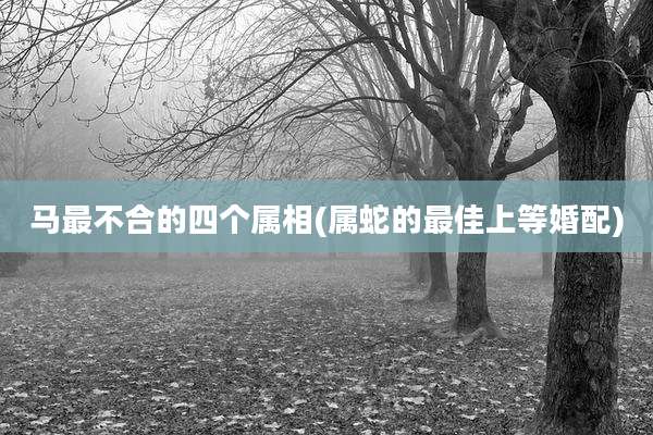 马最不合的四个属相(属蛇的最佳上等婚配)