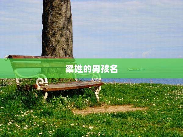 梁姓的男孩名