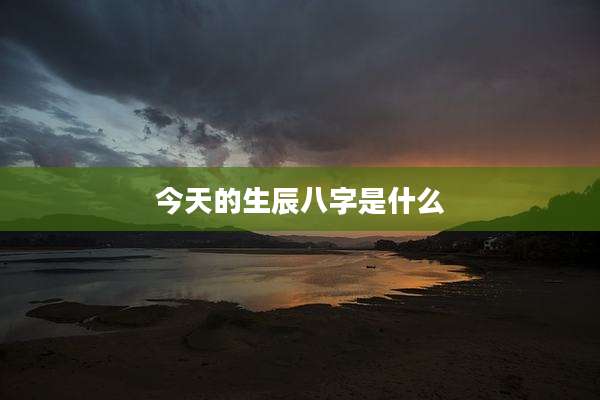今天的生辰八字是什么