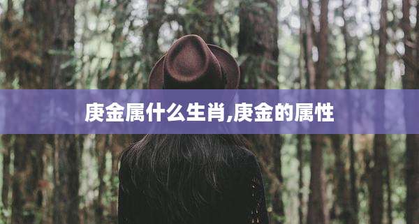 庚金属什么生肖,庚金的属性
