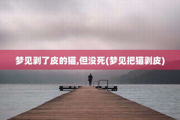 梦见剥了皮的猫,但没死(梦见把猫剥皮)