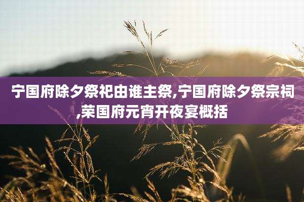 宁国府除夕祭祀由谁主祭,宁国府除夕祭宗祠,荣国府元宵开夜宴概括
