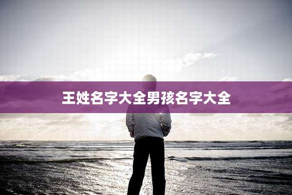 王姓名字大全男孩名字大全